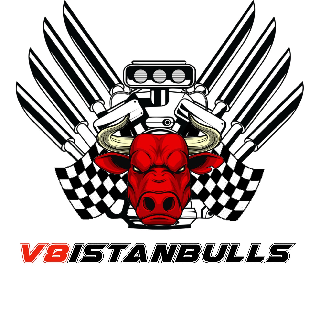 v8istanbulls.com.tr